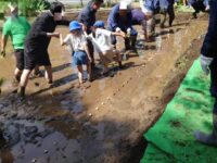 徳丸北野神社田遊び保存会による田植え行事