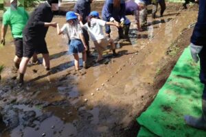 徳丸北野神社田遊び保存会による田植え行事