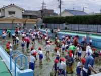 紅梅小学校にてヤゴ取り