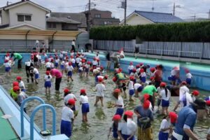 紅梅小学校にてヤゴ取り