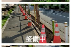 「徳丸槙の道」の植込みのササの件