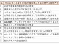令和6年度板橋区予算に対する予算審査特別委員会企画総務分科会での質問内容