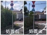 徳丸の石川橋公園の生垣の剪定