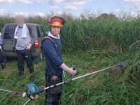 区の「ヤゴ救出作戦」事業の支援