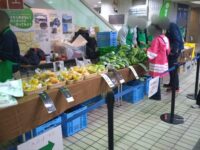 板橋区役所1階での冬野菜マルシェ