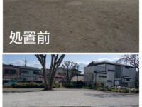 公園からの砂ぼこり対策要望について