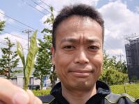 徳丸で近隣5つの小学校児童が茶摘み体験