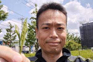 徳丸で近隣5つの小学校児童が茶摘み体験