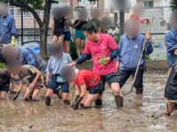 区立水車公園の田んぼにて、小学校の5年生児童が田植え体験😃