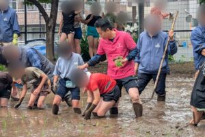 区立水車公園の田んぼにて、小学校の5年生児童が田植え体験😃