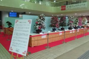 板橋区役所1階にて「さつきフェスティバル」開催中😃