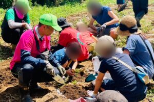青少年健全育成徳丸地区委員会(徳丸青健)主催の親子じゃがいも掘り大会