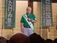 参議院議員通常選挙15日目