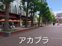 アカプラ(札幌市北３条広場)視察