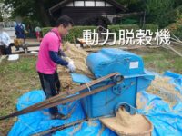 徳丸北野神社田遊び保存会での脱穀