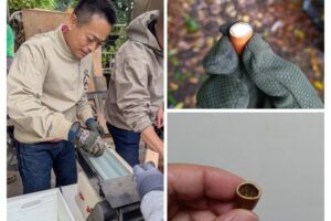 「板橋農業まつり」の準備