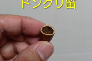 板橋農業まつり、明日11/9(日)も開催予定