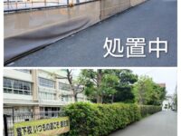 北野小学校の生け垣でのチャドクガの幼虫対策