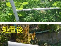 区道の階段の手すり、階段のはがれ等の補修対応