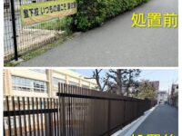 北野小学校の生け垣に毒針毛をもつチャドクガの幼虫が発生し対策