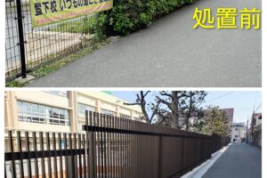 北野小学校の生け垣に毒針毛をもつチャドクガの幼虫が発生し対策