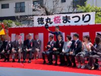 徳丸桜まつり🌸