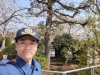 徳丸桜まつり🌸