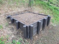 徳丸三丁目にある昆虫公園には期待されている昆虫がいない状況