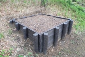徳丸三丁目にある昆虫公園には期待されている昆虫がいない状況