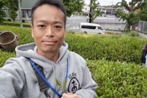 徳丸の茶畑にて、近隣の5つの小学校児童が茶摘み体験