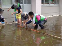 紅梅小学校の校内にある田んぼで5年生児童の田植えを支援