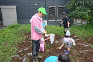 徳丸での「親子じゃがいも掘り大会」