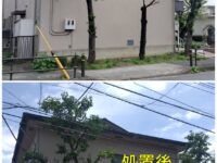 徳丸石川集会所の桜の木、倒木の危険への対応