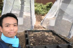 昆虫公園でカブトムシが放されます