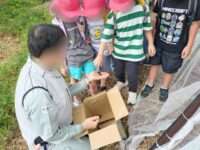 昆虫公園にて、地域の方々からご寄贈いただいたカブトムシを放してもらいました。